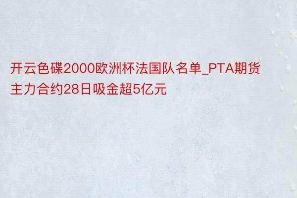 开云色碟2000欧洲杯法国队名单_PTA期货主力合约28日吸金超5亿元