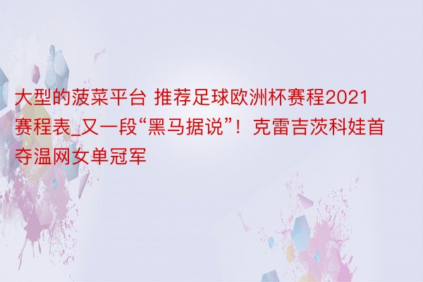 大型的菠菜平台 推荐足球欧洲杯赛程2021赛程表_又一段“黑马据说”!克雷吉茨科娃首夺温网女单冠军