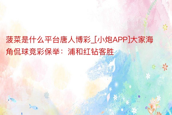 菠菜是什么平台唐人博彩_[小炮APP]大家海角侃球竞彩保举：浦和红钻客胜