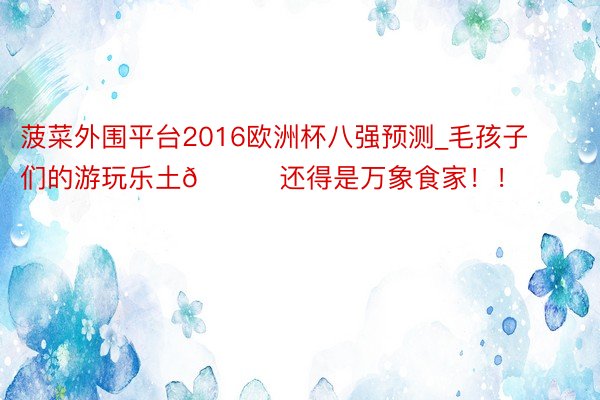 菠菜外围平台2016欧洲杯八强预测_毛孩子们的游玩乐土📍还得是万象食家！！