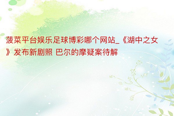菠菜平台娱乐足球博彩哪个网站_《湖中之女》发布新剧照 巴尔的摩疑案待解